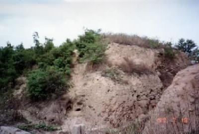 qiang1.jpg (79715 �ֽ�)