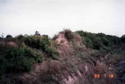 qiang2.jpg (67597 �ֽ�)