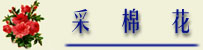 caimianhua.jpg (9991 字节)