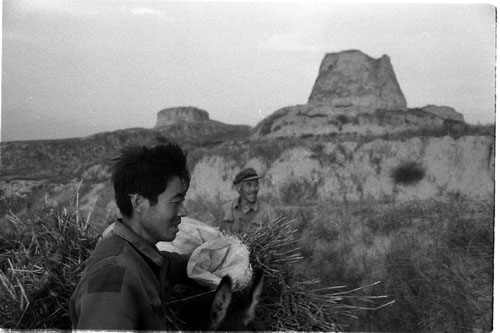 06.jpg (37183 �ֽ�)