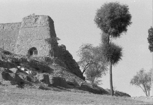 1-11.jpg (76707 �ֽ�)