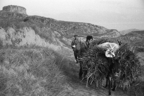 1-3.jpg (74178 �ֽ�)