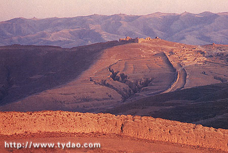 ɽ����������