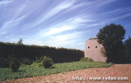 �����ڳ���