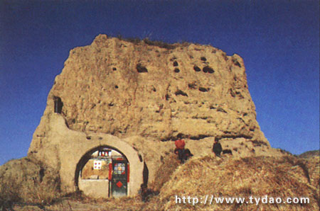 ɽ����������