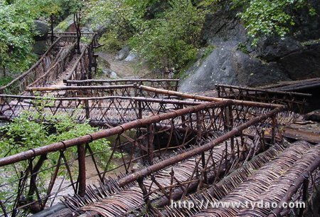 ms1.jpg (110407 �ֽ�)