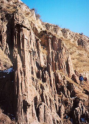 tulin.jpg (90791 �ֽ�)