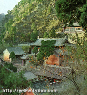 beiwd.jpg (53066 �ֽ�)