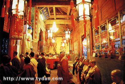 beiwd.jpg (53066 �ֽ�)