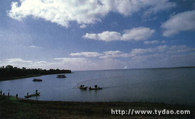 xixia.jpg (37008 �ֽ�)