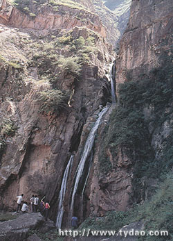 wanguan.jpg (50991 �ֽ�)