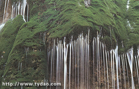 xld2.jpg (50991 �ֽ�)