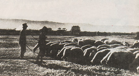 ������.jpg (47671 �ֽ�)