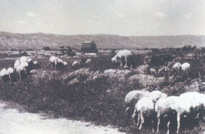 13.jpg (22097 �ֽ�)