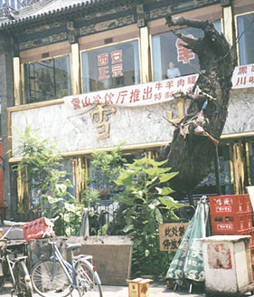 2-shi.jpg (49854 �ֽ�)