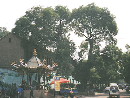 2-xin.jpg (56742 �ֽ�)