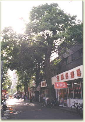 hsj01.jpg (58581 �ֽ�)