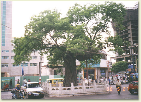 lx02.jpg (80202 �ֽ�)