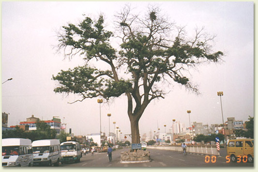 yz02.jpg (70776 �ֽ�)